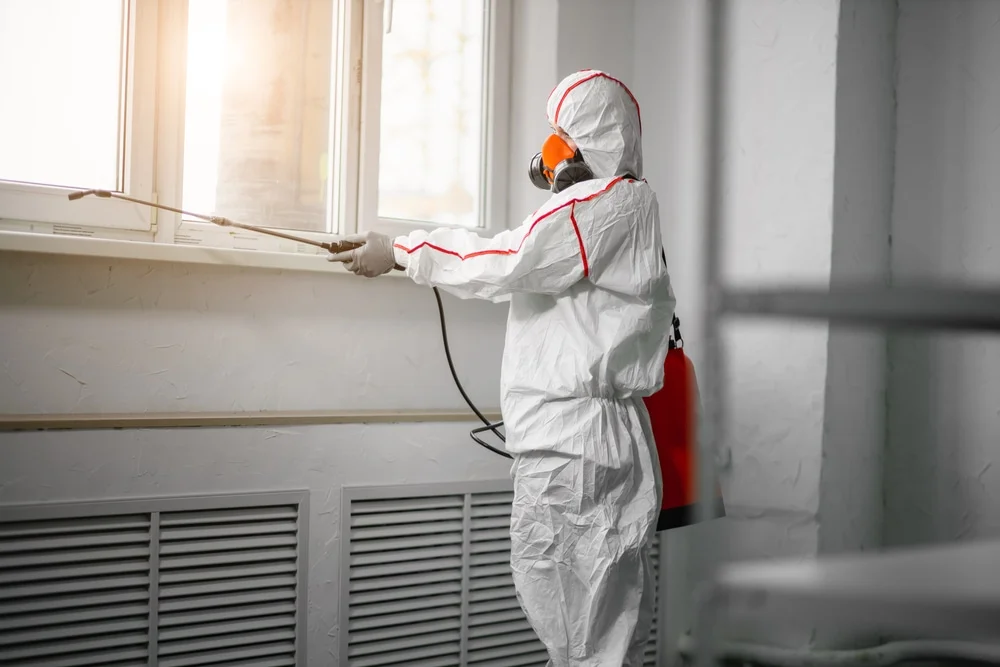 Professional mold remediation services in Gallatin, MO